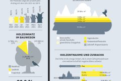 Wohnglück  Infografik